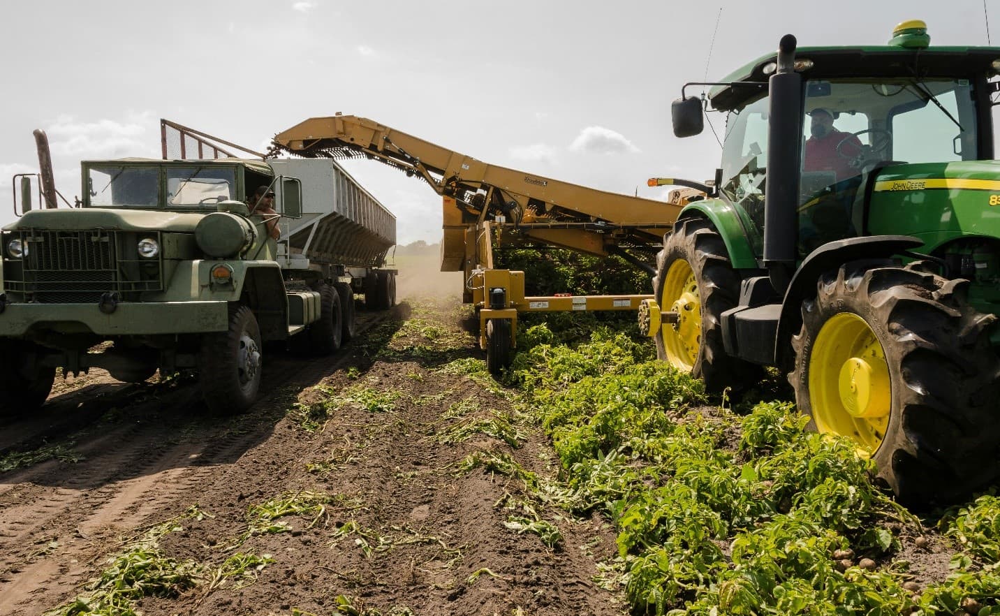 Food & Agriculture Sector — TMGSSL